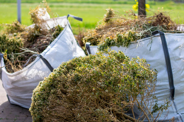 Best Trash Removal Near Me  in Ahoskie, NC